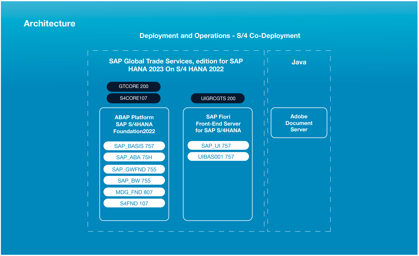 architecture-S-4-Co-Deployment